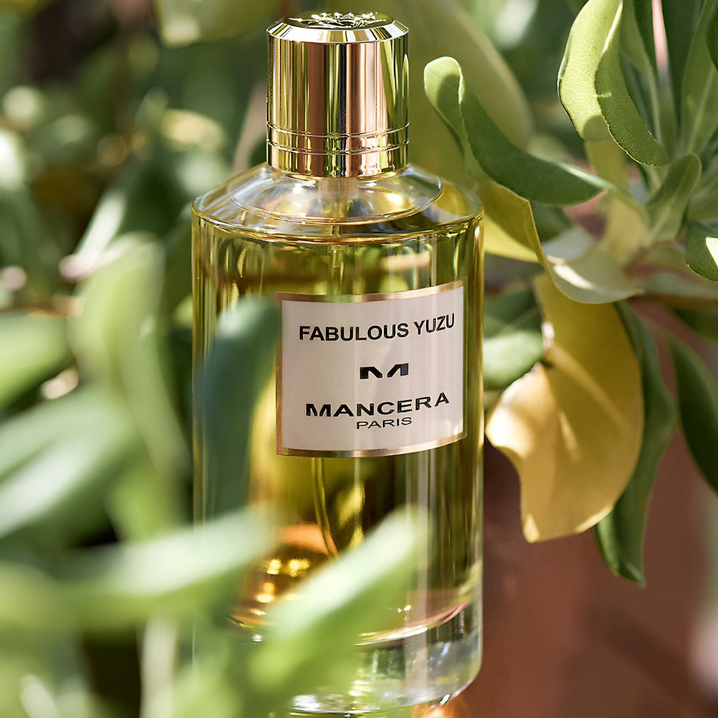 Mancera Fabulous Yuzu EDP Spray Unisex
